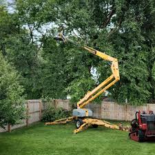 Alvord, TX Tree Services Company